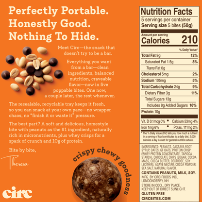 Peanut Chocolate Chip Protein Bites (10G)