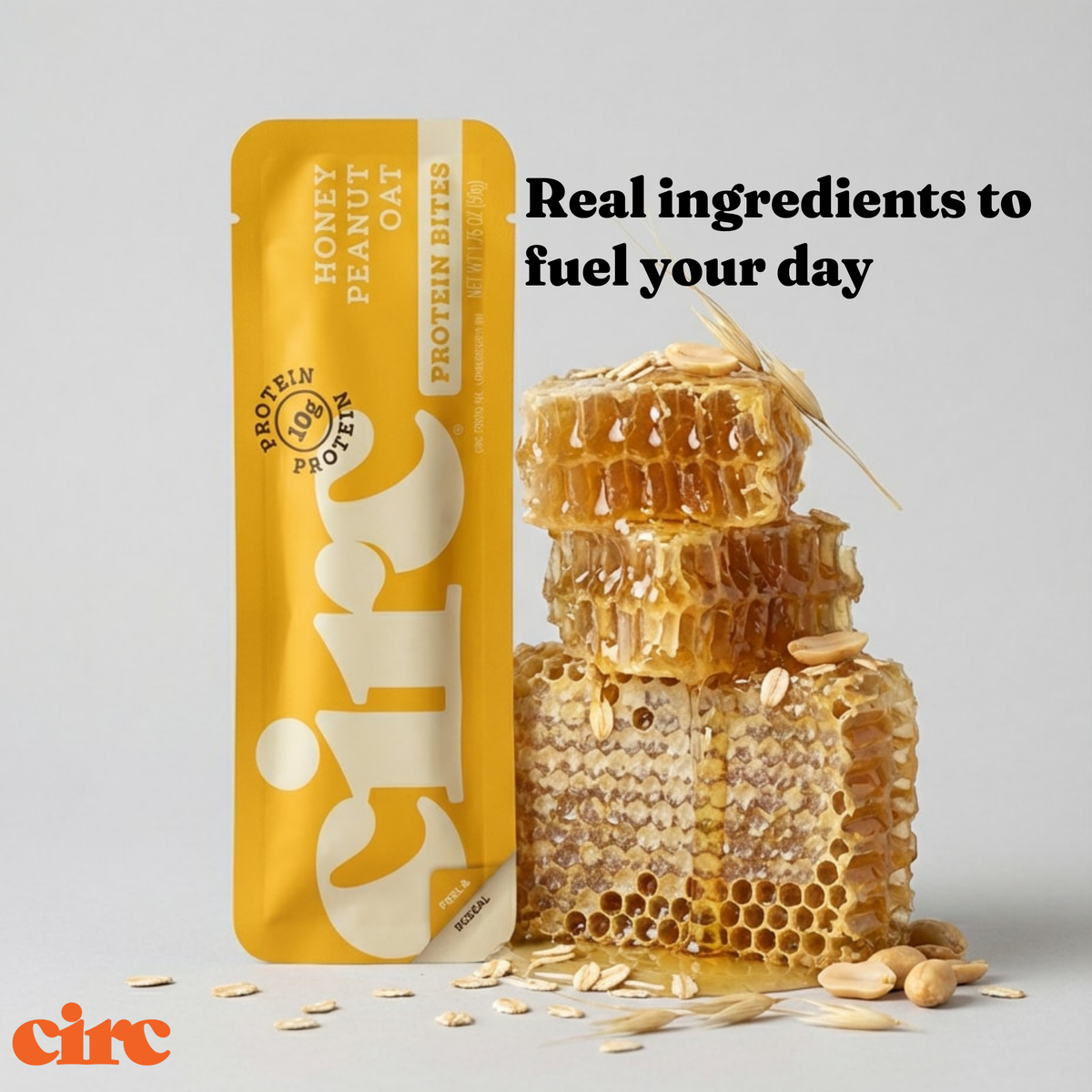 Honey Peanut Oat Protein Bites (10G)