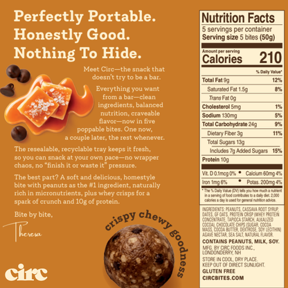 Caramel Chocolate Chip Protein Bites (10G)