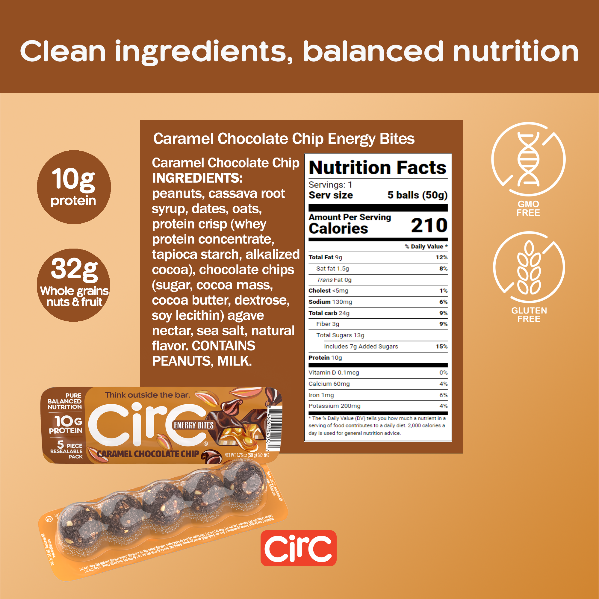 Caramel Chocolate Chip Protein Bites (10G)