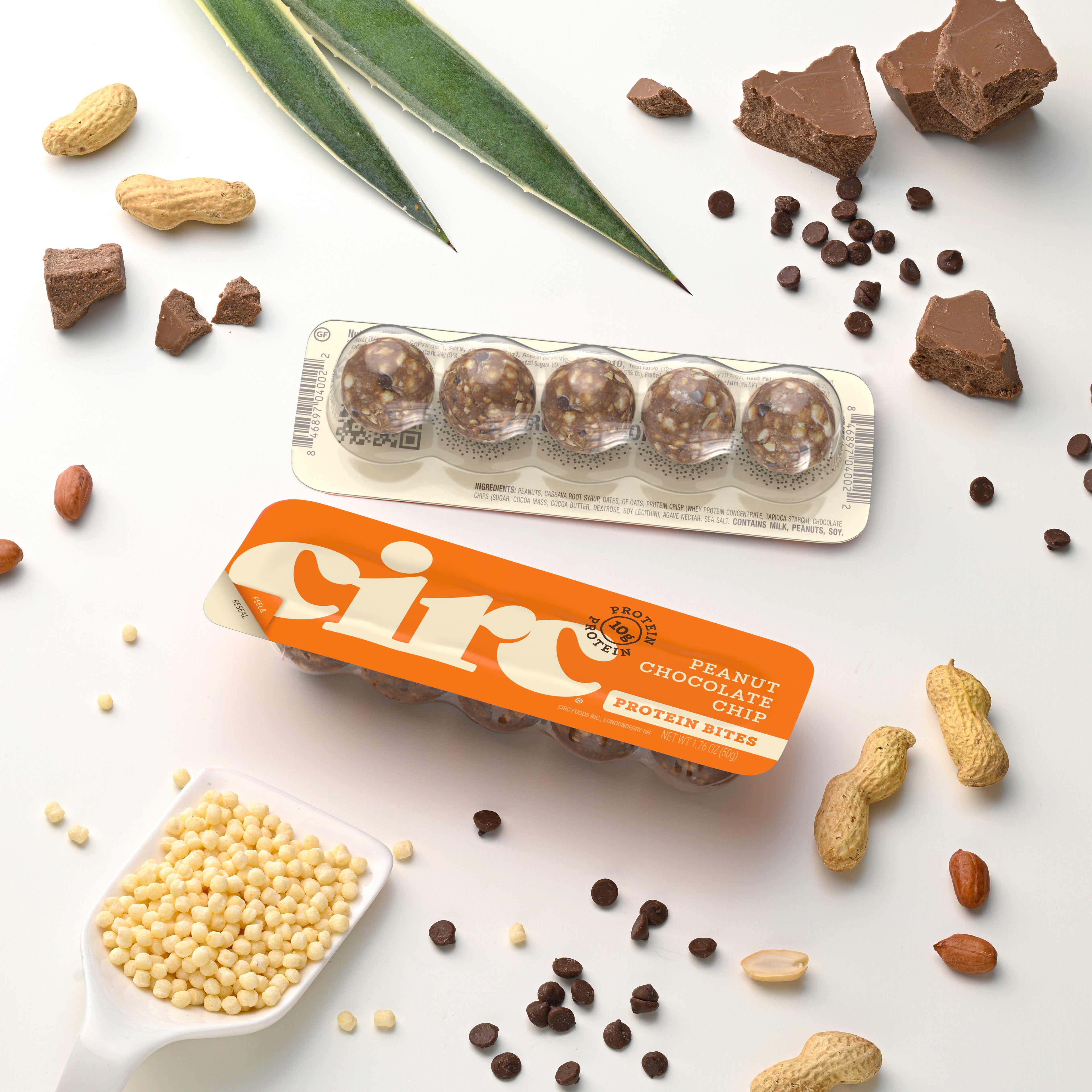 Peanut Chocolate Chip Protein Bites (10G)